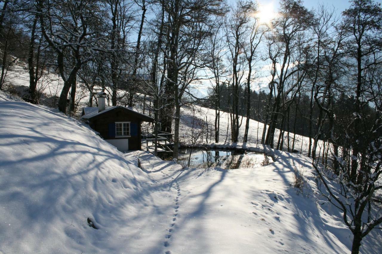 Kleines Paradies Montafon Bartholomaeberg Ngoại thất bức ảnh